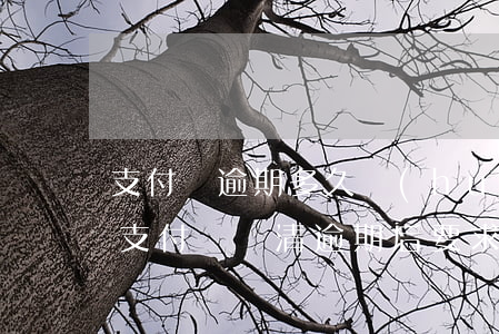 支付寶逾期多久會(huì)要求一次還清(支付寶還清逾期后要求一次性還清)