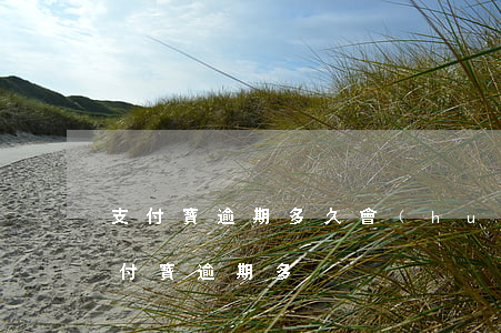 支付寶逾期多久會(huì)變成失信人（支付寶逾期多）