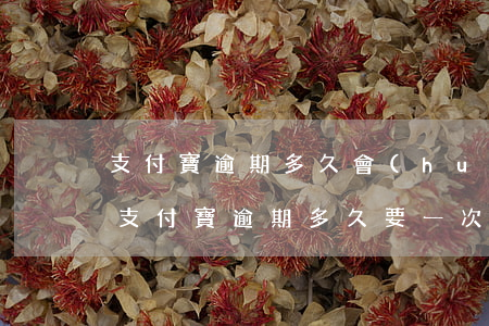 支付寶逾期多久會(huì)讓一次性還清（支付寶逾期多久要一次性結(jié)清）