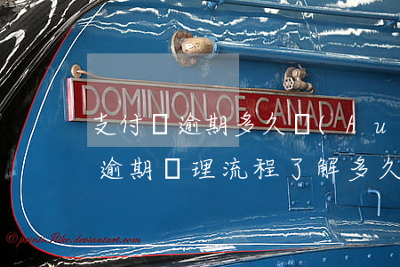支付寶逾期多久會(huì)走流程，支付寶逾期處理流程：了解多久會(huì)啟動(dòng)