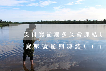 支付寶逾期多久會凍結(jié)賬戶(支付寶賬號逾期凍結(jié)多久自動恢復)