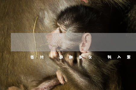 支付寶逾期多久會列入黑名單