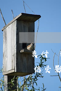 支付寶逾期多久會影響征信嗎(支付寶逾期征信受影響嗎)