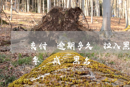 支付寶逾期多久會拉入黑名單(支付寶逾期2年會成為黑名單)