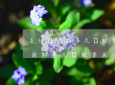 支付寶逾期多久會被要求一次結清-支付寶逾期多久會被要求一次結清貸款