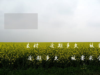 支付寶逾期多久會被要求全額還款-支付寶逾期多久會被要求全額還款呢