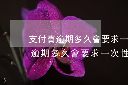 支付寶逾期多久會要求一次性還完-支付寶逾期多久會要求一次性還完款