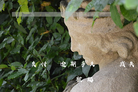 支付寶逾期多久會變成失信人（信用寶逾期多長時間會被起訴）