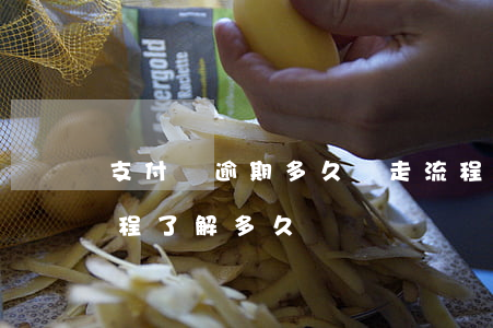支付寶逾期多久會走流程，支付寶逾期處理流程：了解多久會啟動