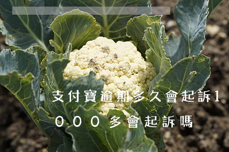 支付寶逾期多久會起訴10萬 支付寶逾期1000多會起訴嗎