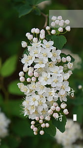 支付寶逾期多久會關(guān)閉花唄(支付寶逾期多久會關(guān)閉花唄)