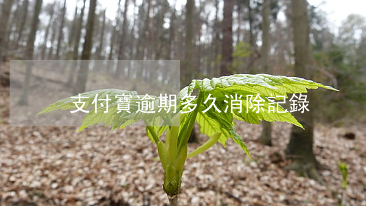 支付寶逾期多久消除記錄