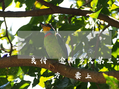 支付寶逾期多久第三方上門(支付寶逾期三年了,對方說要上門)