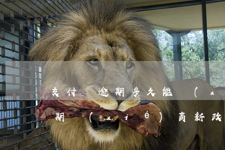 支付寶逾期多久能協(xié)商(支付寶逾期協(xié)商新政策)