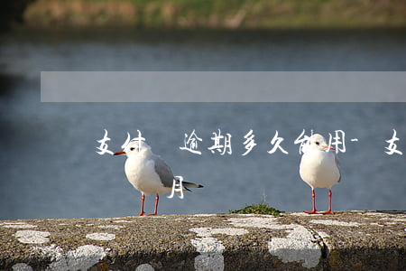 支付寶逾期多久能用-支付寶最長可以逾期幾個月