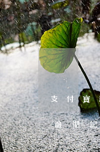 支付寶逾期多久芝麻分能提高(支付寶修復了逾期記錄,芝麻分會不會上漲)