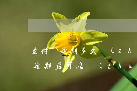 支付寶逾期多久轉(zhuǎn)交 支付寶逾期后可以轉(zhuǎn)入嗎