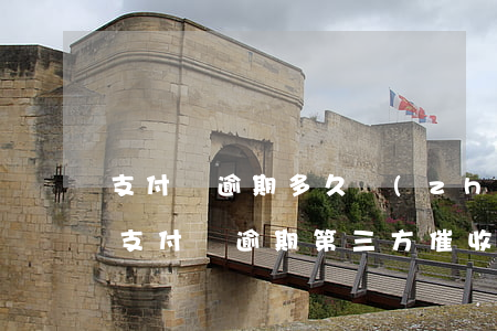 支付寶逾期多久轉(zhuǎn)交第3方(支付寶逾期第三方催收)