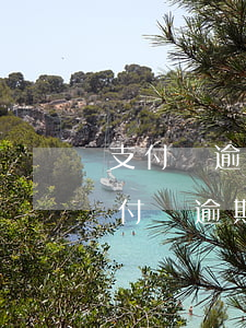 支付寶逾期多久轉(zhuǎn)第三方(支付寶逾期200多天他們委托第三方)