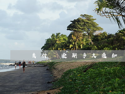 支付寶逾期多久通知聯(lián)系人
