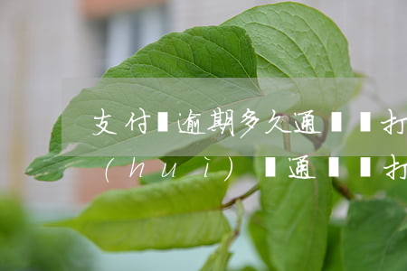 支付寶逾期多久通訊錄打通-支付寶逾期會(huì)給通訊錄打電話嗎