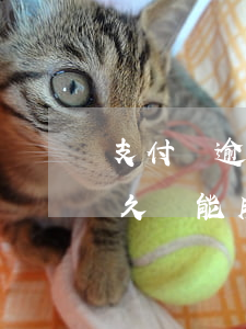 支付寶逾期多久還能用花唄-支付寶逾期多久還能用花唄還款