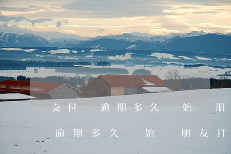 支付寶逾期多久開始給朋友打電話-支付寶逾期多久開始給朋友打電話的