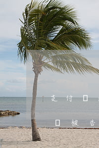 支付寶逾期多久開始起訴-支付寶逾期多久會被告