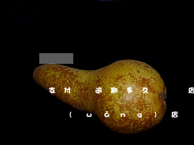 支付寶逾期多久關閉店鋪(支付寶逾期影響開網(wǎng)店嗎)