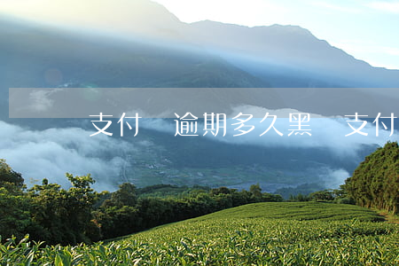 支付寶逾期多久黑點(支付寶逾期多久上黑名單)