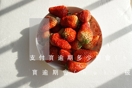支付寶逾期多少后會(huì)被起訴(支付寶逾期會(huì)被告么)