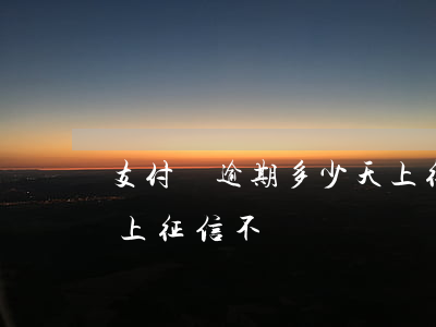 支付寶逾期多少天上征信（支付寶逾期三千多上征信不）