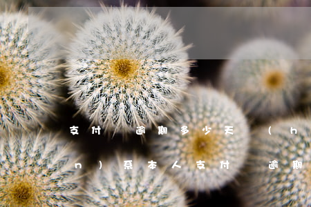 支付寶逾期多少天會(huì)聯(lián)系本人(支付寶逾期會(huì)聯(lián)系緊急聯(lián)系人嗎)
