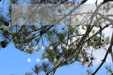 支付寶逾期多少天會(huì)被起訴(支付寶逾期多少天會(huì)起訴,我已經(jīng)還了2000多)