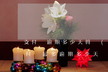 支付寶逾期多少天算嚴(yán)重逾期(支付寶最多逾期多少天)