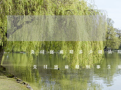 支付寶逾期多少錢法院才會(huì)立案（支付寶逾期刑事立案標(biāo)準(zhǔn)）