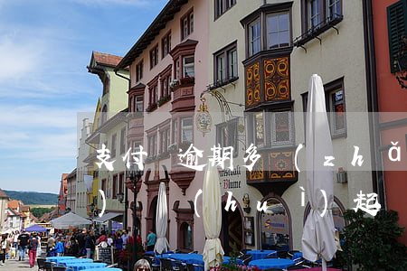 支付寶逾期多長(zhǎng)時(shí)間會(huì)起訴（支付寶逾期多大被起訴）