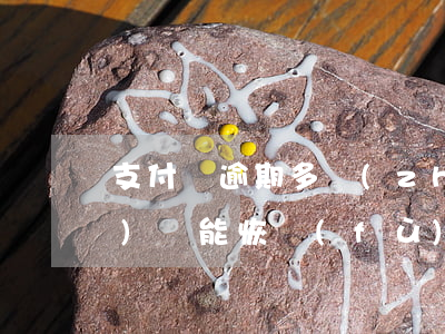 支付寶逾期多長(zhǎng)時(shí)間能恢復(fù)使用-支付寶逾期多長(zhǎng)時(shí)間能恢復(fù)使用額度