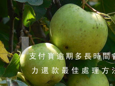 支付寶逾期多長時間會起訴債務人-借唄無力還款最佳處理方法