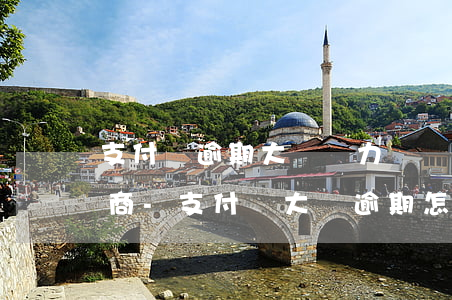支付寶逾期大額無力償還怎么協(xié)商-支付寶大額逾期怎么協(xié)商延期還款