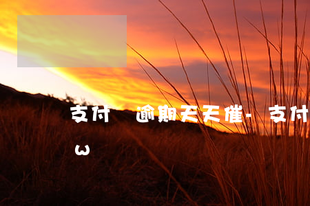 支付寶逾期天天催-支付寶逾期客服怎么催w
