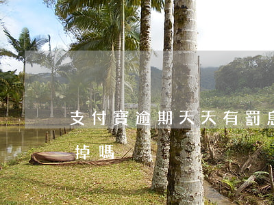 支付寶逾期天天有罰息 支付寶逾期罰息能免掉嗎