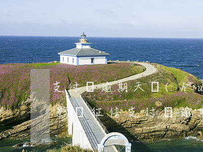 支付寶逾期天會(huì)不會(huì)影響征信(支付寶逾期5天會(huì)影響征信)