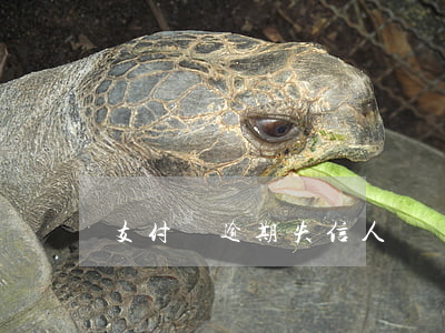 支付寶逾期失信人