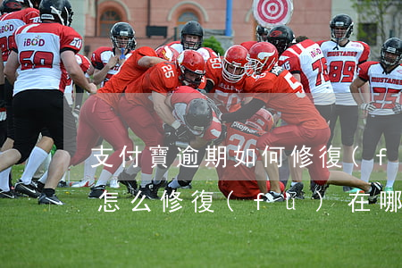 支付寶逾期如何修復(fù)-支付寶逾期怎么修復(fù)在哪