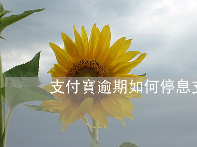 支付寶逾期如何停息（支付寶逾期申請減息）