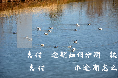 支付寶逾期如何分期還款(來分期逾期還清了支付寶還顯示逾期怎么辦)