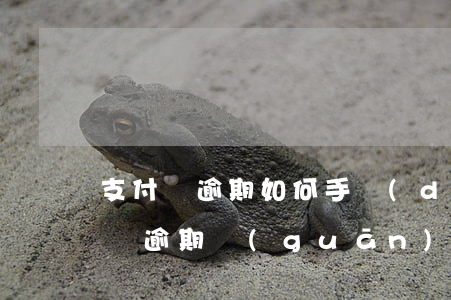 支付寶逾期如何手動(dòng)還款(支付寶逾期關(guān)閉還款入口)