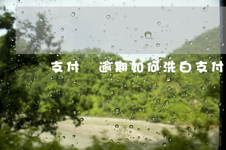 支付寶逾期如何洗白(支付寶怎么清楚逾期)