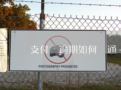 支付寶逾期如何溝通-支付寶怎么把逾期